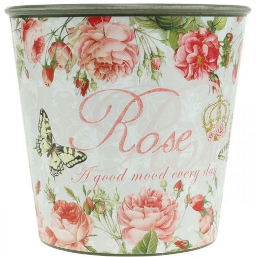 Prodotto Fioriera, secchio per piantare, fioriera con rosa H13cm Ø13,5cm