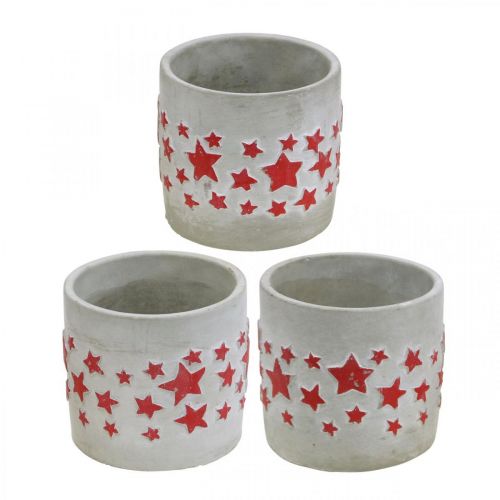 Floristik24 Decorazione in ceramica motivo a stella, fioriera, aspetto cemento, decorazione dell&#39;Avvento Ø10,5 cm H9,5 cm 3 pezzi