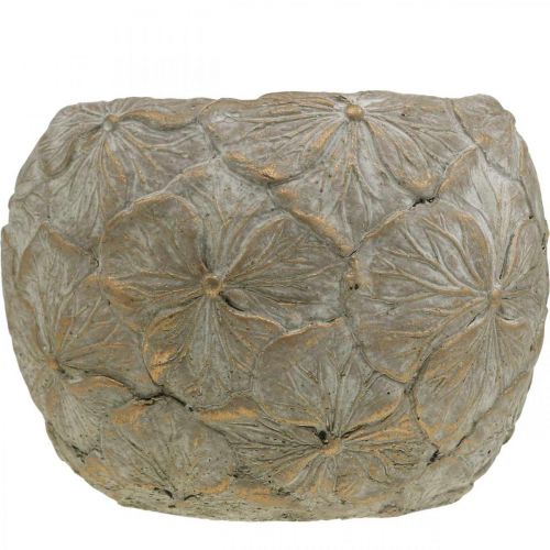 Floristik24 Vaso di fiori in cemento motivo fiore piccolo aspetto vintage Ø15cm H11cm