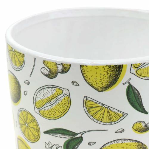 Floristik24 Fioriera giallo limone Ø8/10/13cm set di 3