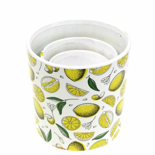 Floristik24 Fioriera giallo limone Ø8/10/13cm set di 3