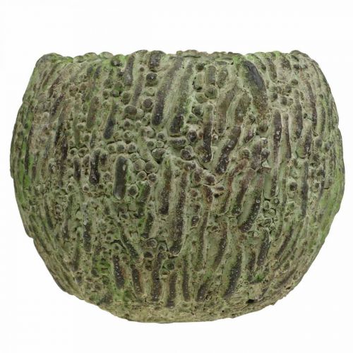 Prodotto Fioriera in cemento aspetto antico verde, fioriera marrone Ø13cm