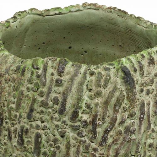 Prodotto Fioriera in cemento aspetto antico verde, fioriera marrone Ø13cm