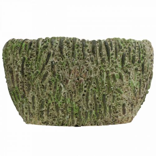 Prodotto Fioriera in cemento ovale aspetto antico verde, marrone 24×14×13 cm