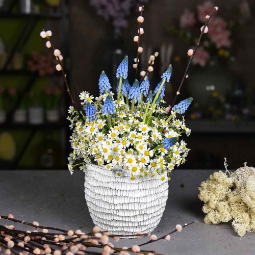 Floristik24 Fioriera in cemento bianco vintage vaso di fiori a nido d'ape H13cm Ø12.5cm 2pz