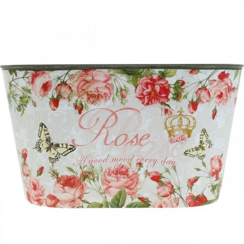 Prodotto Rose in vaso, vaso decorativo, vassoio per fiori 21,5 cm/18,5 cm, set da 2