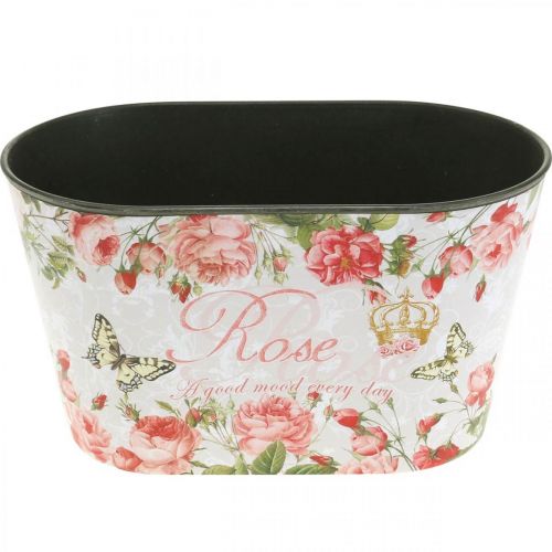 Prodotto Rose in vaso, vaso decorativo, vassoio per fiori 21,5 cm/18,5 cm, set da 2