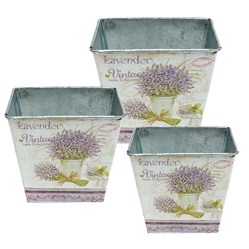 Floristik24 Lenzuolo con motivo lavanda angolare 3 set