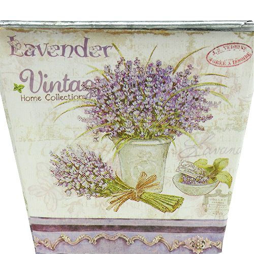Floristik24 Lenzuolo con motivo lavanda angolare 3 set