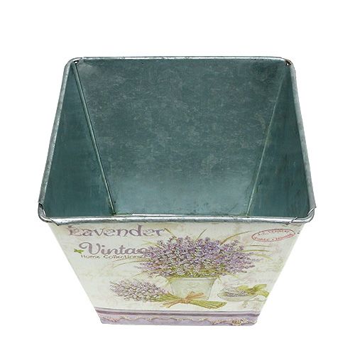 Floristik24 Lenzuolo con motivo lavanda angolare 3 set