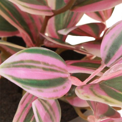 Prodotto Tradescantia Pianta verde artificiale in vaso H19,5 cm 2 pezzi
