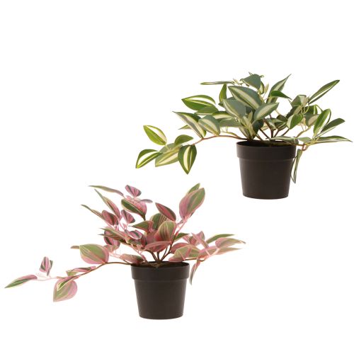 Prodotto Tradescantia Pianta verde artificiale in vaso H19,5 cm 2 pezzi