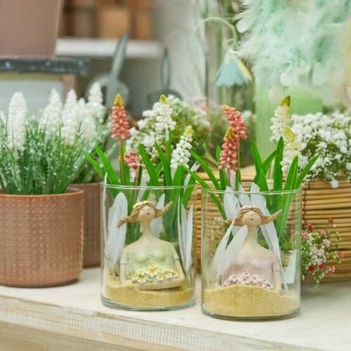 Floristik24 Giacinto d'uva in vaso di betulla rosa 24 cm