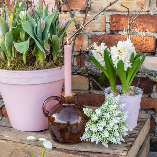 Floristik24 Giacinto d'uva giacinto artificiale bianco 28 cm 12 pezzi in mazzo