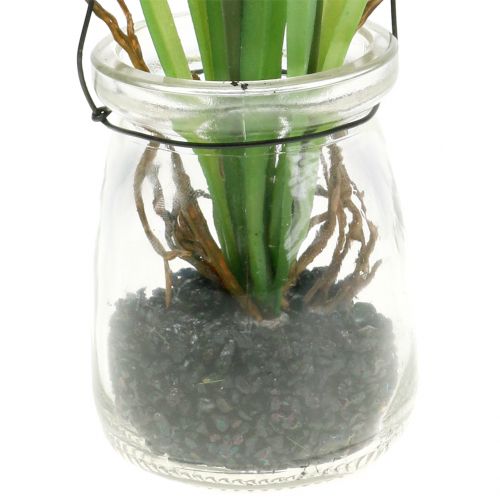 Prodotto Giacinto d&#39;uva bianco in un bicchiere da appendere H22 cm