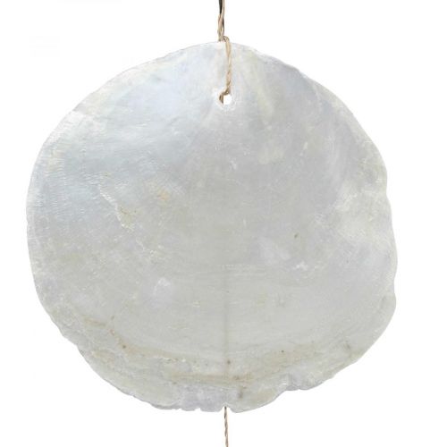 Prodotto Driftwood Capiz ghirlanda di conchiglie madreperla H100cm