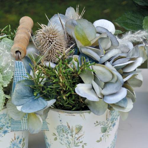 Floristik24 Fiori secchi Cardo Bianco lavato 60cm 100g