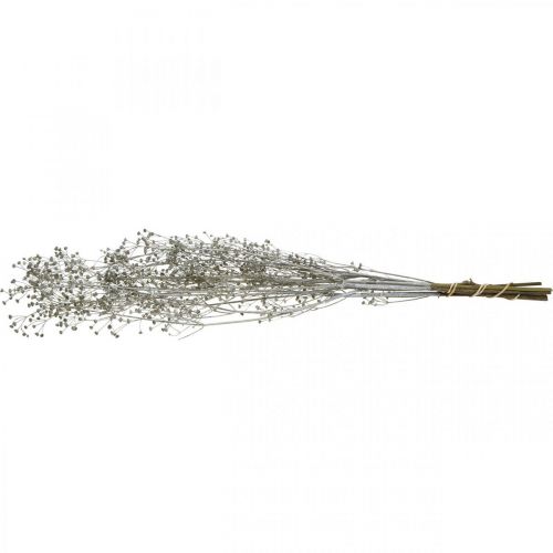 Prodotto Fiori secchi Massasa sbiancati rami decorativi 50-55cm mazzo da 6 pz