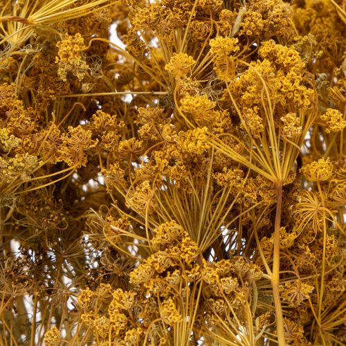 Prodotto Bouquet di fiori secchi con delicati boccioli per una romantica decorazione vintage 55 cm