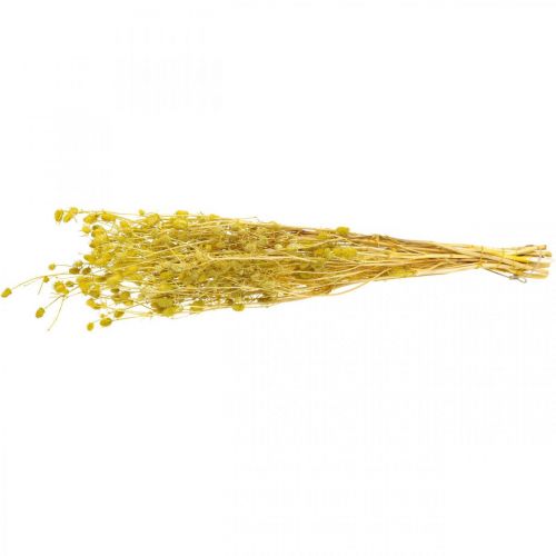 Prodotto Fiori secchi cardo selvatico giallo secco cardo fragola 100g