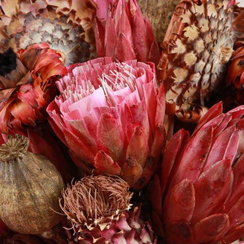 Prodotto Fiori secchi mix papavero carciofo protea rosa 38 cm 580 g