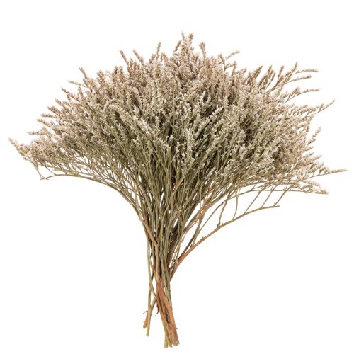 Mazzo di fiori secchi di lavanda di spiaggia Statice, 1 kg acquistare | Floristik24.it