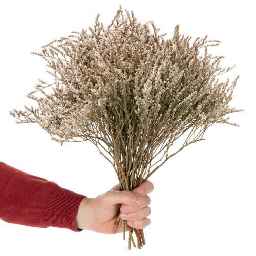 Mazzo di fiori secchi di lavanda di spiaggia Statice, 1 kg | Floristik24.it