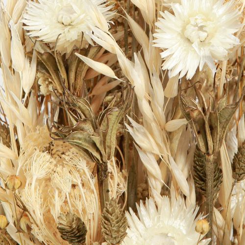Prodotto Fiori secchi oro bianco con fiori a cappello Phalaris 30 cm 200 g