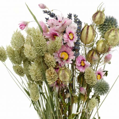 Floristik24 Mazzo di erbe selvatiche con fiori di paglia fiori secchi 70g