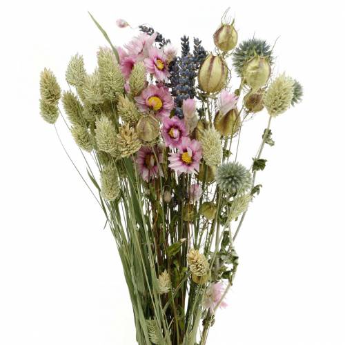 Floristik24 Mazzo di erbe selvatiche con fiori di paglia fiori secchi 70g