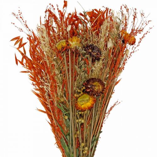 Floristik24 Mazzo di fiori secchi mix arancio 42cm
