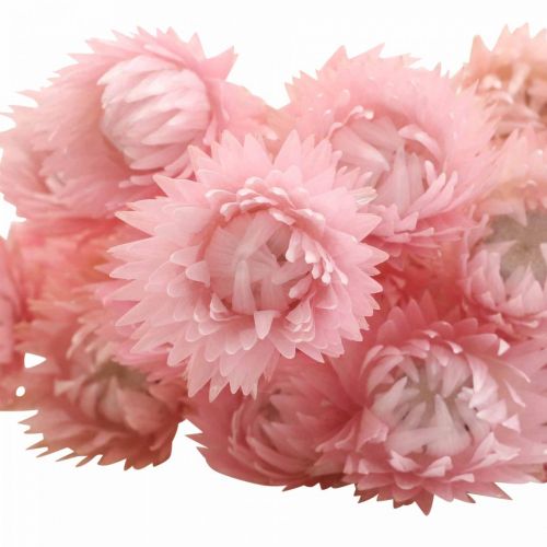Prodotto Fiori secchi cappello fiori fiori di paglia rosa H42cm