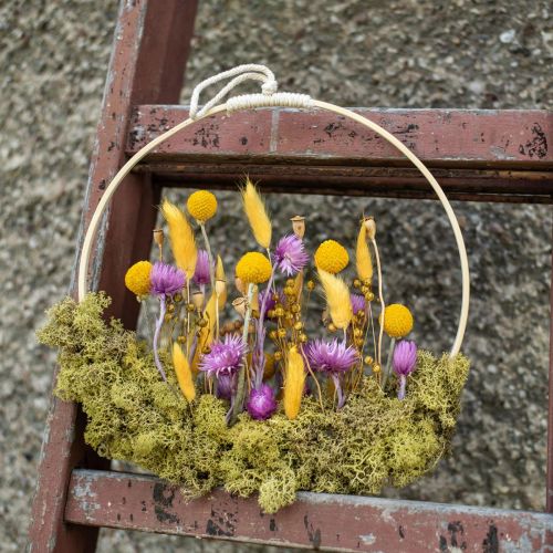 Prodotto Fiori secchi Fiori a cappello Fiori di paglia viola H42cm