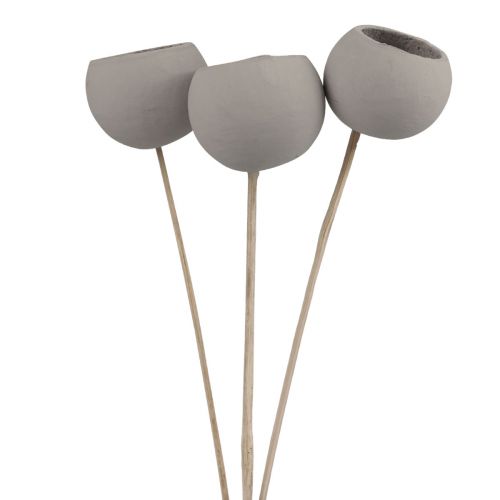 Prodotto Campane decorative con fiori secchi su gambo grigio 37 cm 3 pz