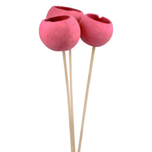 Prodotto Campane decorative con fiori secchi su gambo rosa 42 cm 3 pezzi