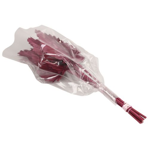 Prodotto Decorazione di fiori secchi, lancia di palma vino secco rosso 37 cm 4 pz