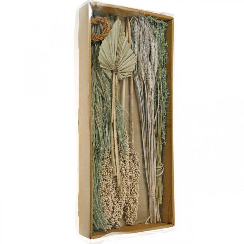 Floristik24 Miscela di fiori secchi esotici bianco-natura, miscela di flora secca