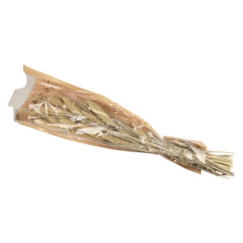Prodotto Miglio fiori secchi setole naturali di miglio Setaria H40-60cm 60g