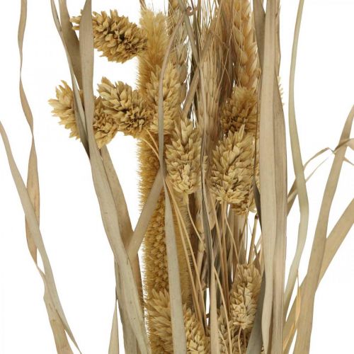 Floristik24 Erbe secche e cereali al naturale in un mazzo secco bouquet 48cm