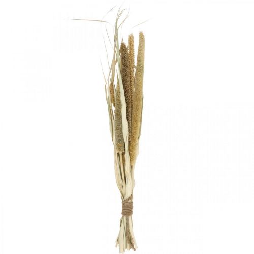 Prodotto Floristica secca Grano Mazzo di pannocchie di miglio essiccate 45 cm