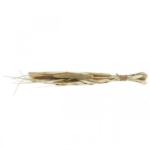Prodotto Floristica secca Grano Mazzo di pannocchie di miglio essiccate 45 cm