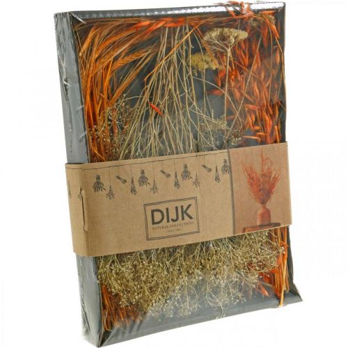 Floristik24 Scatola di fiori secchi Arancio secco Floristry Set