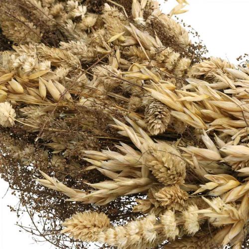 Floristik24 Ghirlanda decorativa fiori secchi grandi cereali ed erba natura Ø50cm
