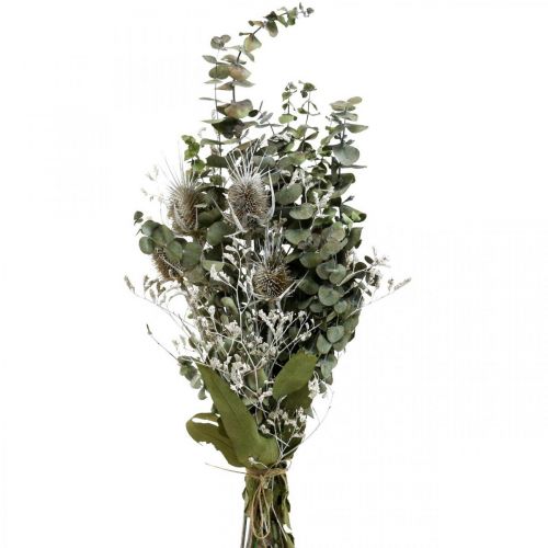 Bouquet di fiori secchi eucalipto bouquet di cardi 45-55cm 100g