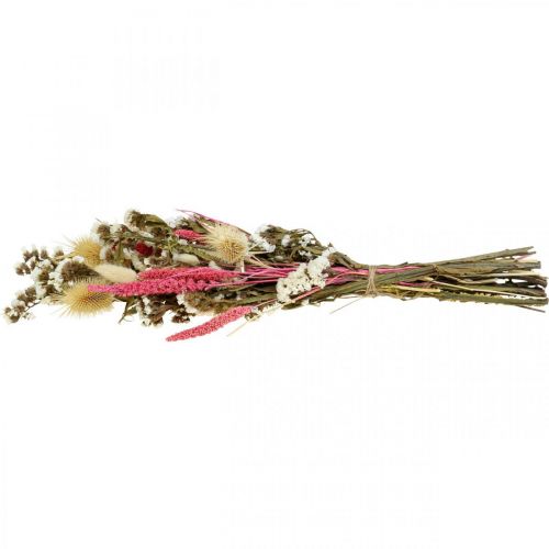 Floristik24 Bouquet di fiori secchi bouquet di fiori di paglia cardo 40–45 cm