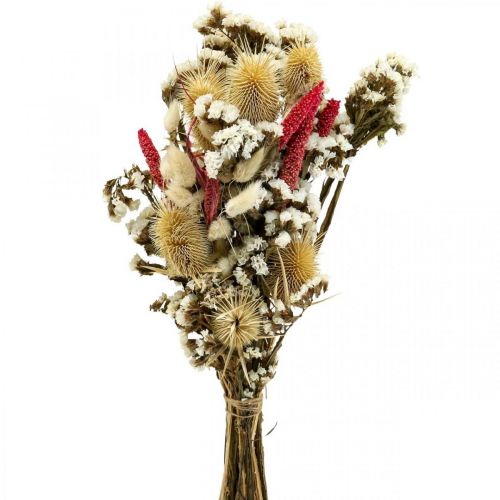 Floristik24 Bouquet di fiori secchi bouquet di fiori di paglia cardo 40–45 cm
