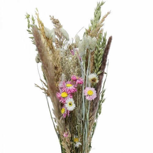 Floristik24 Bouquet di fiori secchi erba Phalaris fiori di paglia rosa 60cm 110g