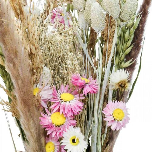 Prodotto Bouquet di fiori secchi erba Phalaris fiori di paglia rosa 60cm 110g