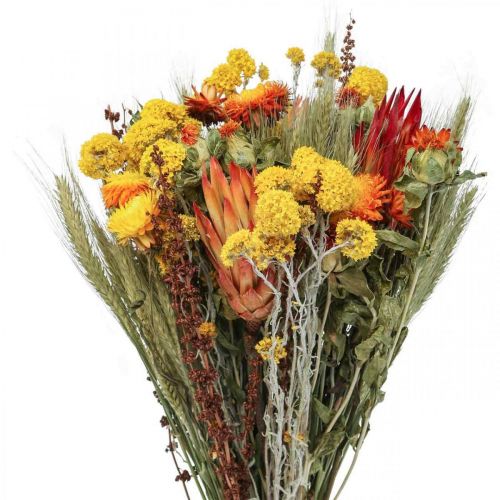 Mazzo di fiori secchi Mazzo di fiori di prato Arancio H50cm 300g