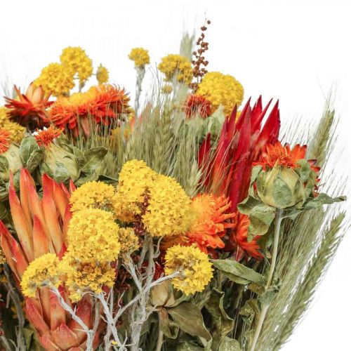 Floristik24 Mazzo di fiori secchi Mazzo di fiori di prato Arancio H50cm 300g